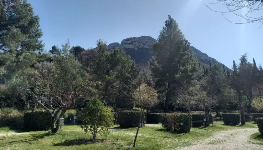 Paysage verdoyant des Baronnies Provençales sous un ciel bleu éclatant, avec des arbres, des buissons taillés et une montagne en arrière-plan.