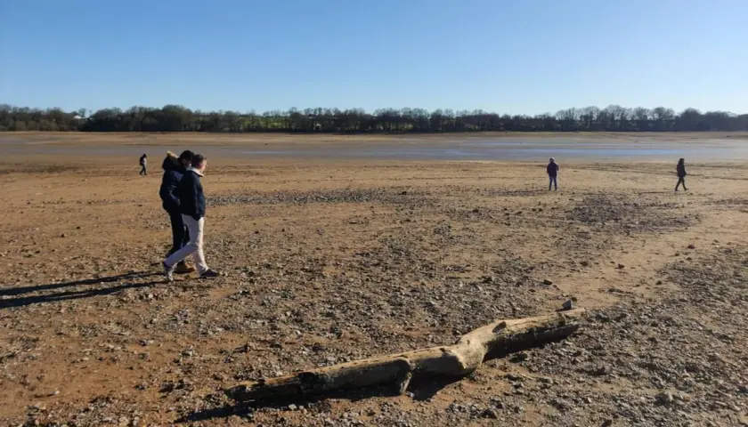 Des promeneurs explorent le lit asséché du lac de Vioreau, un paysage désertique sous un ciel bleu. Un tronc d'arbre repose sur le sable.