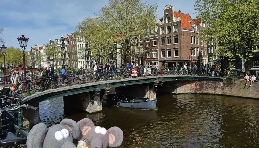 Deux peluches éléphants profitent des activités à découvrir à Amsterdam : un pont animé, des canaux et des maisons typiques.