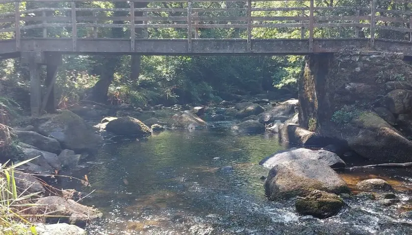 Pont en bois au-dessus d'une rivière rocheuse à Stangala Quimper, entouré de verdure luxuriante.
