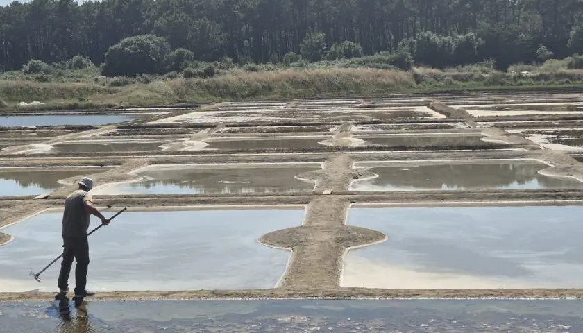 Un salinier travaille dans les marais salants de La Turballe, un paysage typique pour une randonnée.