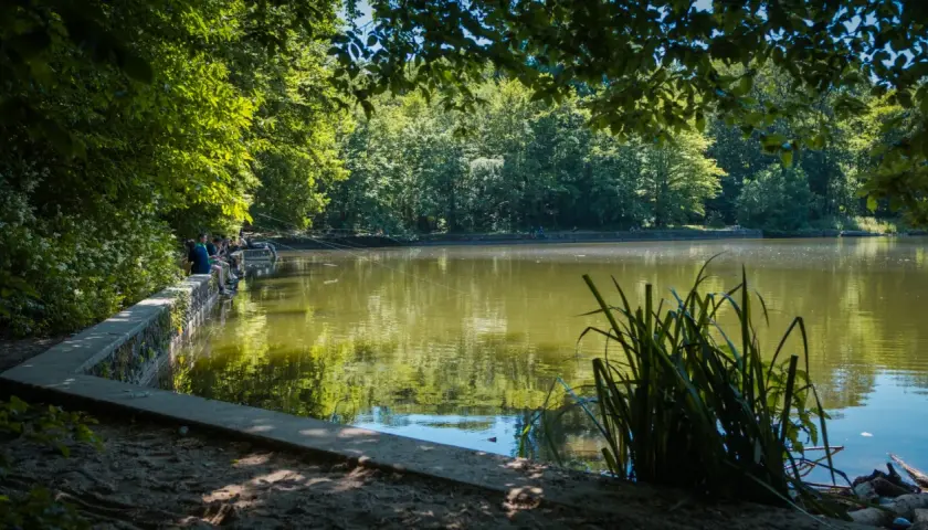 Journée paisible à l'étang de Meudon, où des pêcheurs profitent du calme au bord de l'eau, entourés de verdure luxuriante.