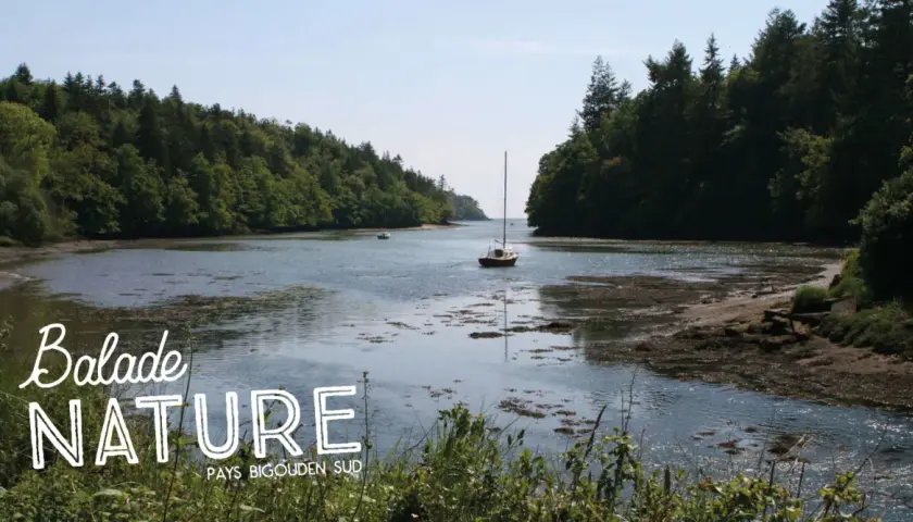 Balade nature dans le **bois de Roscouré**, un voilier navigue sur une rivière bordée de forêts luxuriantes.