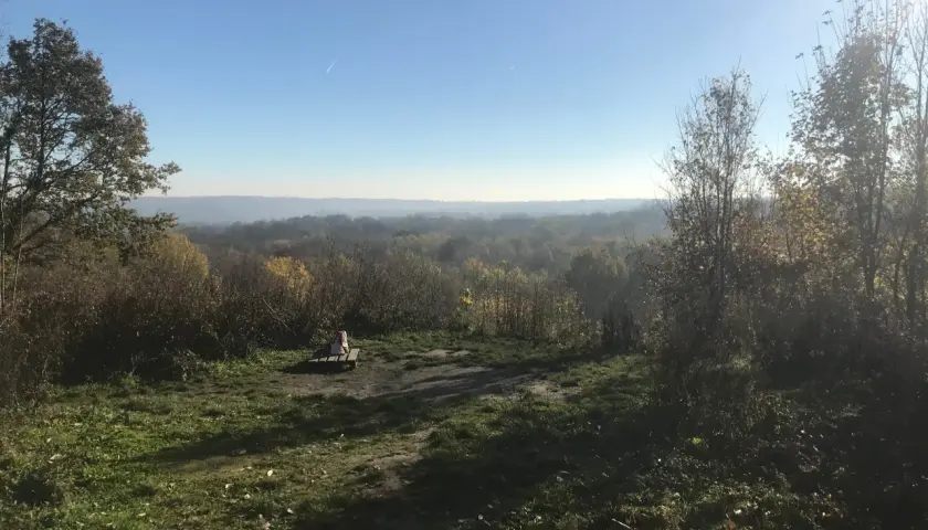 Vue panoramique sur la forêt de Marly par temps clair. Un banc solitaire invite à la contemplation du paysage vallonné.