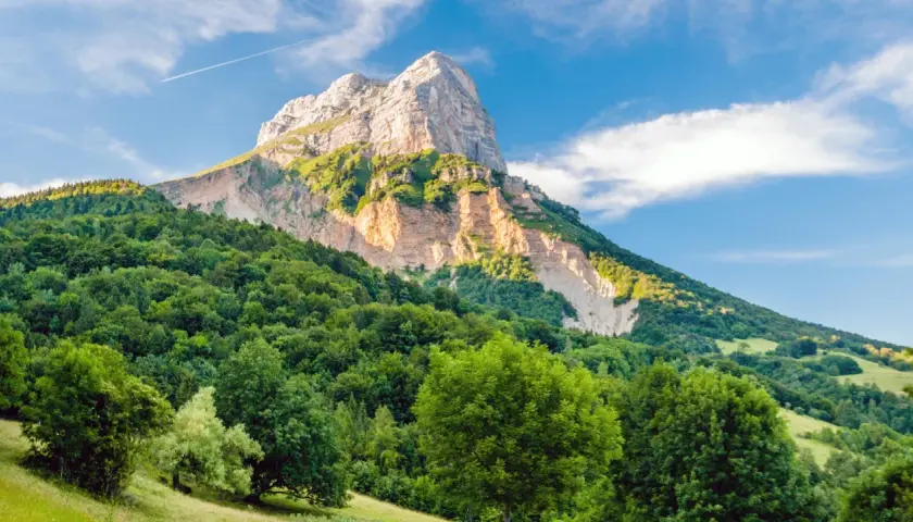 Vaste forêt verdoyante au pied d'une montagne majestueuse, un paysage qui pourrait bien être la plus belle forêt de France.
