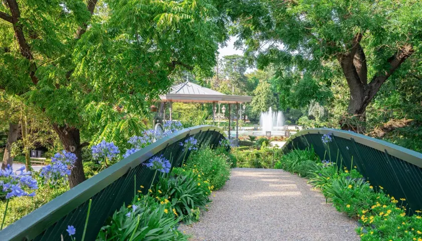 Un pont fleuri mène à un kiosque et une fontaine au jardin des plantes de Toulouse.