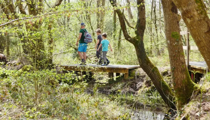 Trois personnes profitent d'une randonnée à Granville, traversant un pont en bois dans une forêt verdoyante.