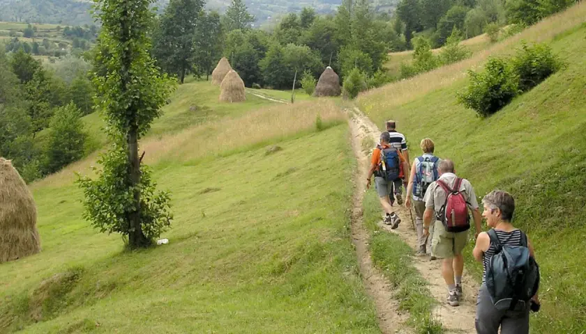 Un groupe de randonneurs profite d'une belle randonnée en Roumanie, traversant des collines verdoyantes parsemées de meules de foin.