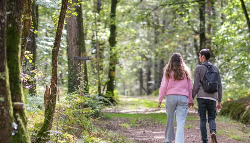 Couple en randonnée à Brocéliande, main dans la main sur un sentier forestier baigné de lumière.