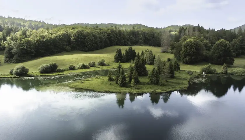 Vue aérienne d'un lac paisible dans le Jura, entouré de prairies verdoyantes et de forêts denses.