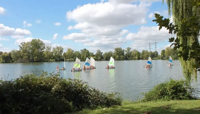 Plusieurs voiliers naviguent sur un lac paisible, un paysage typique du lac autour de Toulouse par une journée ensoleillée.