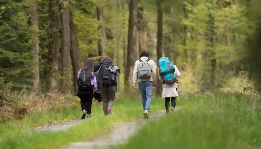 Trois randonneurs marchent sur un sentier forestier. Idéal pour randonner en novembre en France, la nature est verdoyante.