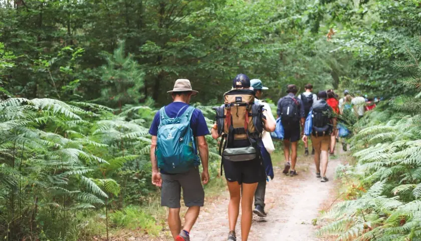 Un groupe de randonneurs explore un sentier forestier verdoyant dans les Yvelines, profitant d'une belle journée.