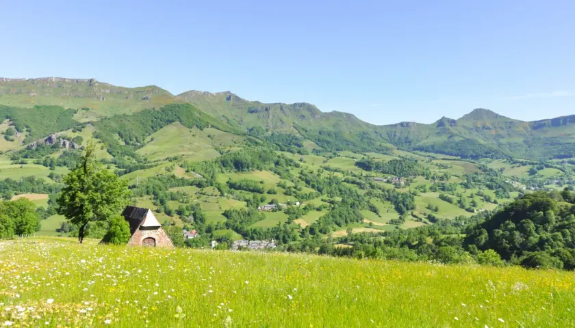 Champ fleuri au premier plan, avec une petite bâtisse en pierre et un arbre. Au loin, les collines verdoyantes et les montagnes de la vallée de la Jordanne sous un ciel bleu.