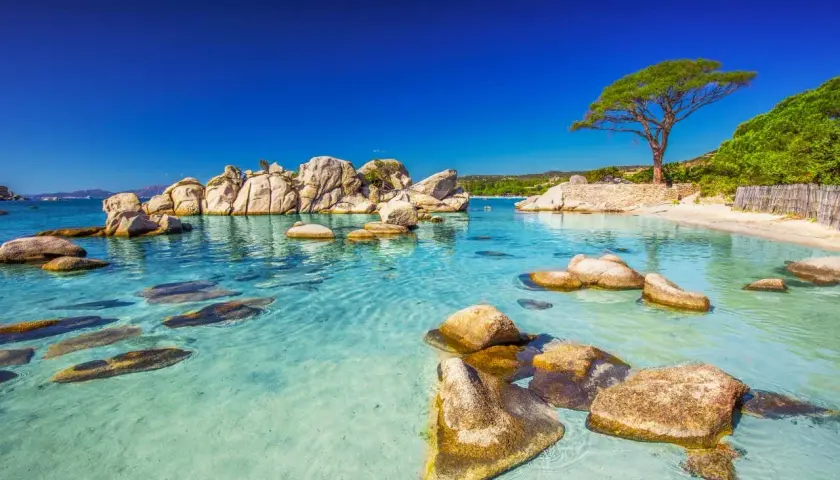 Eaux turquoise cristallines, rochers polis par le temps et un arbre solitaire sur une plage de sable fin. Un décor de rêve qui pourrait bien être la meilleur plage de France.