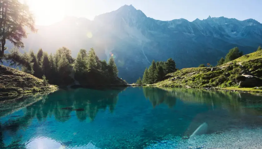 Un lac suisse aux eaux cristallines reflète les montagnes majestueuses et les pins verts sous un soleil radieux.
