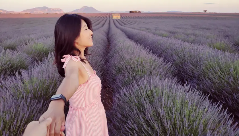 Une femme en robe rose tient la main de quelqu'un au milieu des champs de lavande du plateau de Valensole, au coucher du soleil.