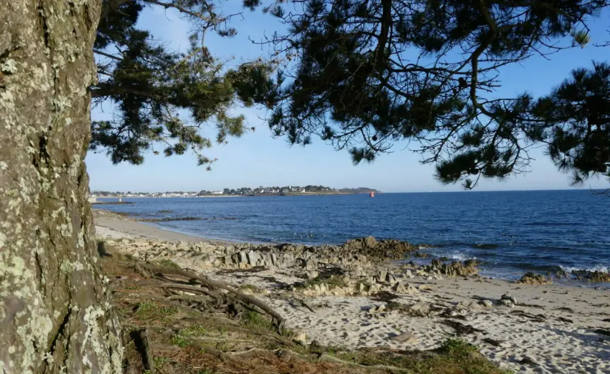 Locmariaquer à pied - Le guide pour une randonnée réussie