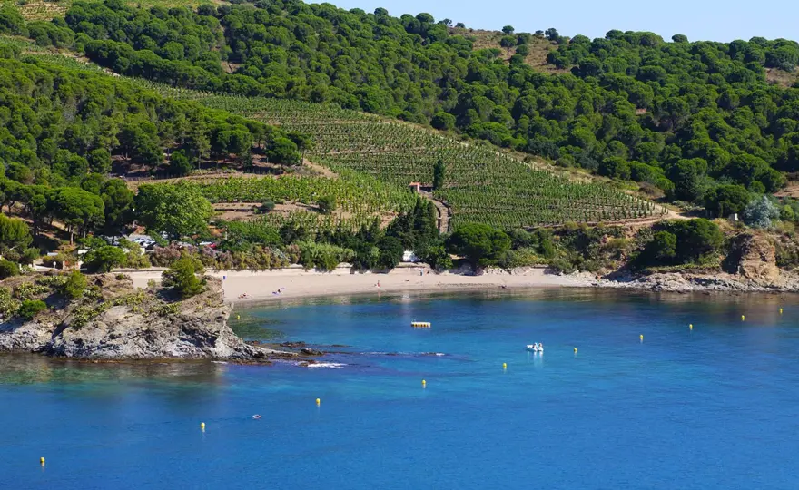 GR10 Banyuls - Les Albères: le vrai défi montagne au départ