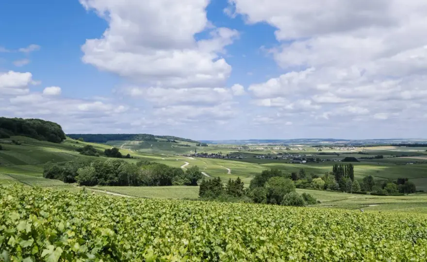 Montagne de Reims - Guide complet pour une visite réussie