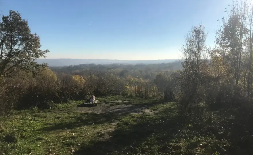 Forêt de Marly - sentiers, mares et balades près de Paris