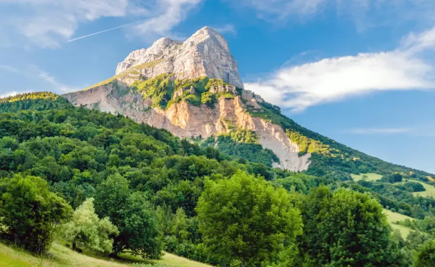 Quelle est la plus belle forêt de France ? Nos repères pour choisir