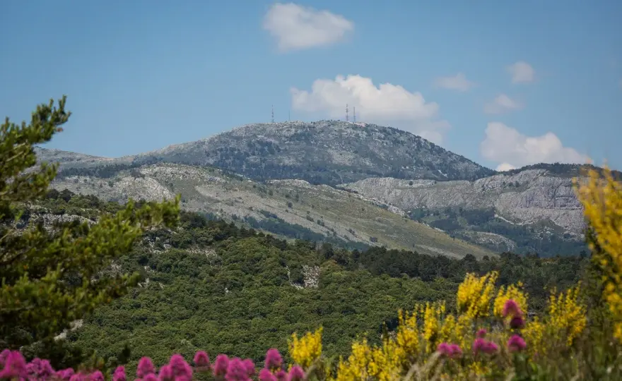 Mont Lachens - Toit du Var : Le Guide Complet pour une Visite Réussie
