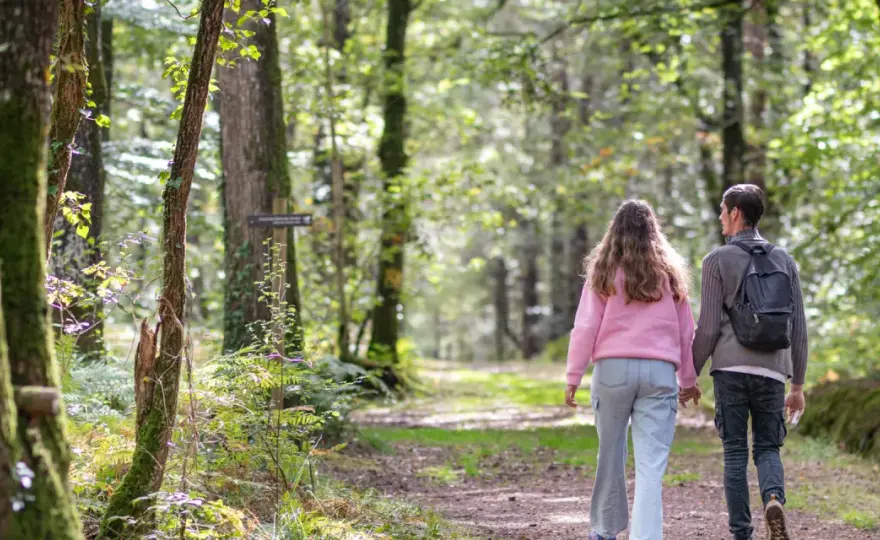 Randonnée en Brocéliande - quelles boucles choisir et quand partir ?