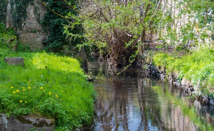 Vallée de la Bièvre - les sites naturels à découvrir à pied