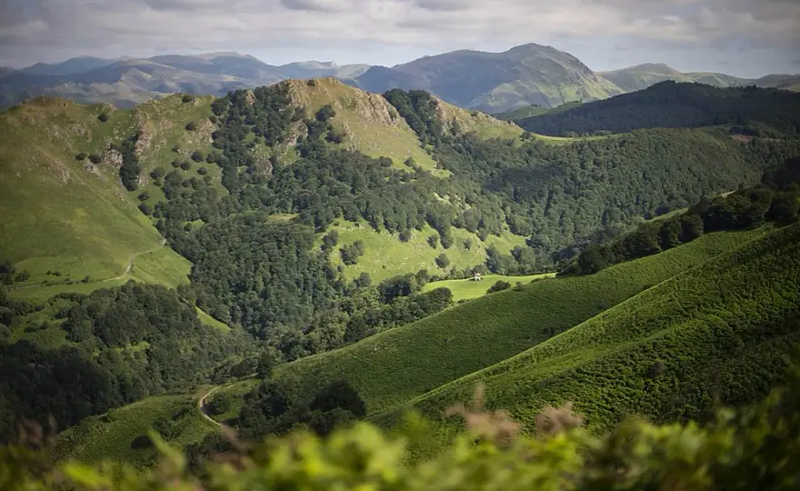 Compostelle - Navarrenx-Roncevaux : Réussir la traversée des Pyrénées