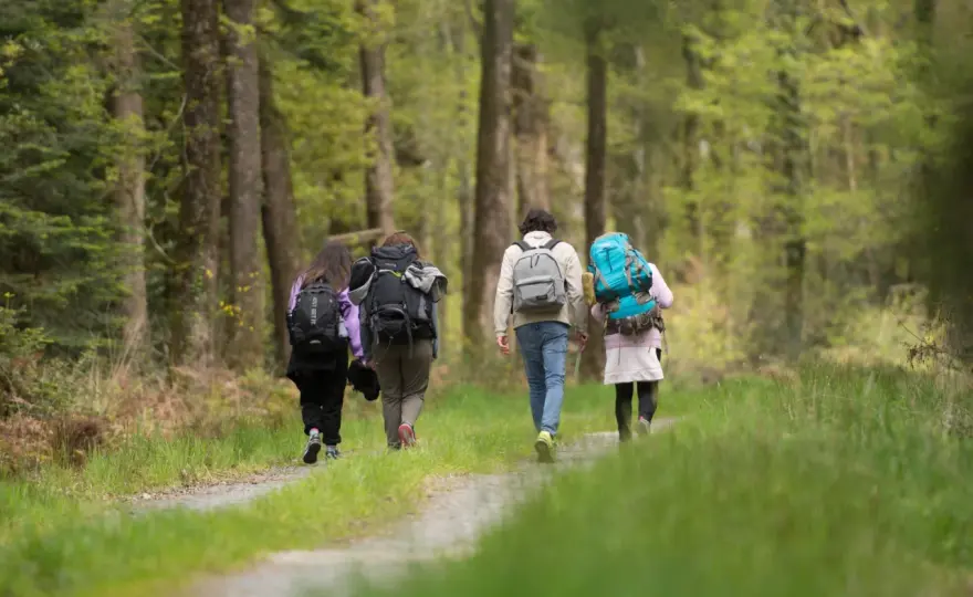 Randonner en novembre - Où aller pour une marche réussie?