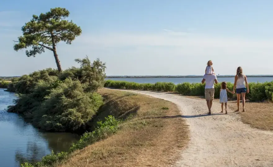 Randonnée Bassin d'Arcachon - Choisissez le bon sentier !
