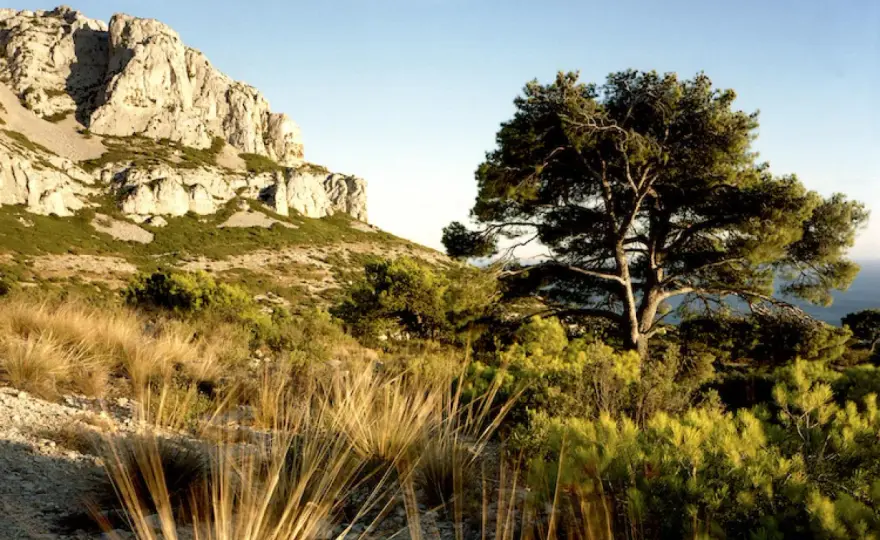 Mont Puget - Le guide complet pour une rando inoubliable