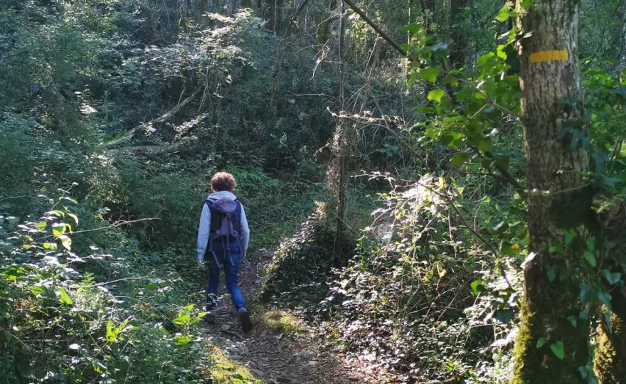 Randonnée en Vendée - Quel GR choisir et comment bien la préparer?