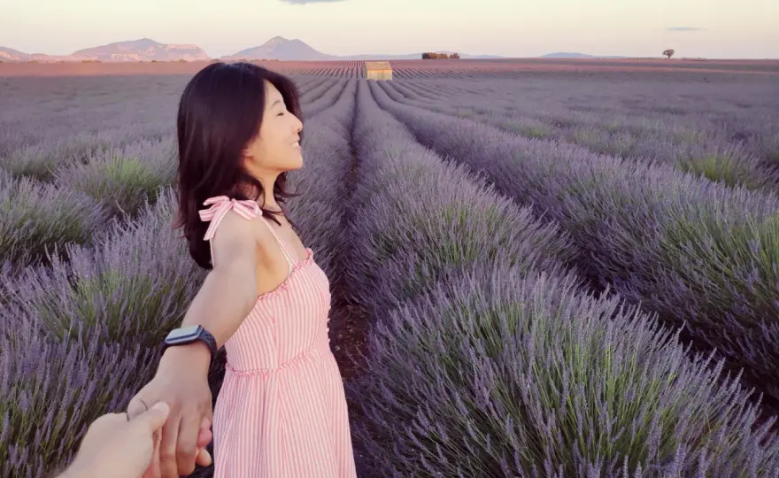 Plateau de Valensole - la meilleure période pour y aller