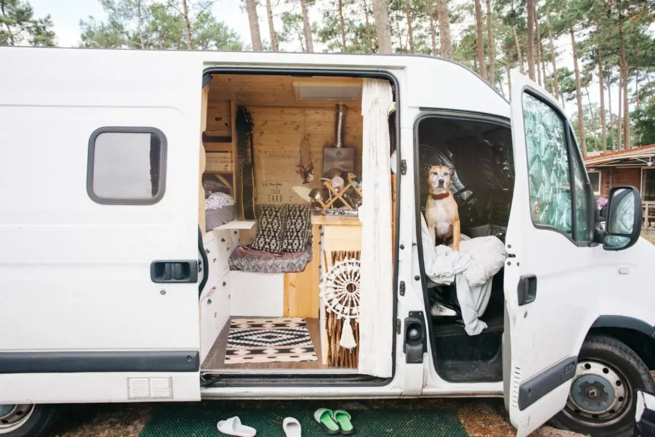 Un chien attend dans un bus aménagé, prêt pour l'aventure. L'intérieur douillet est décoré de bois et de textiles.