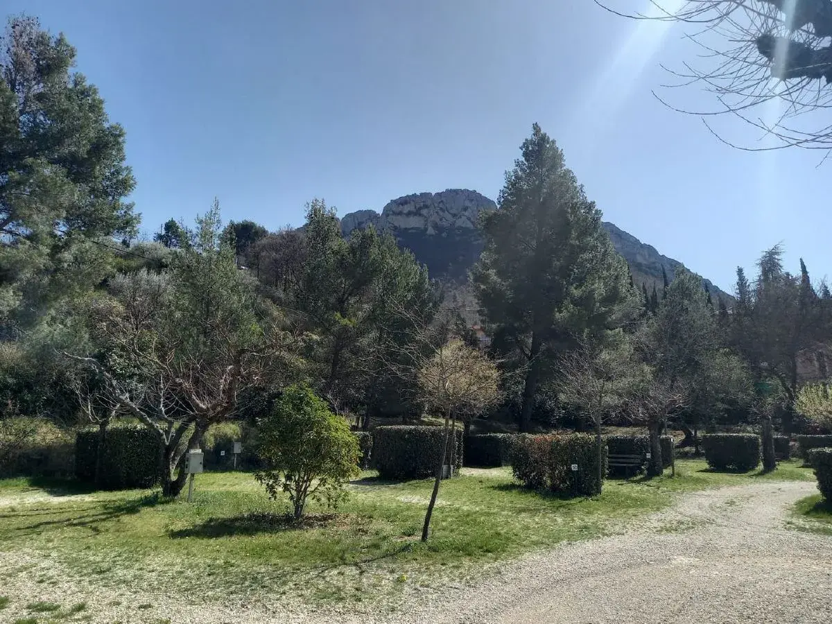 Paysage verdoyant des Baronnies Provençales sous un ciel bleu éclatant, avec des arbres, des buissons taillés et une montagne en arrière-plan.
