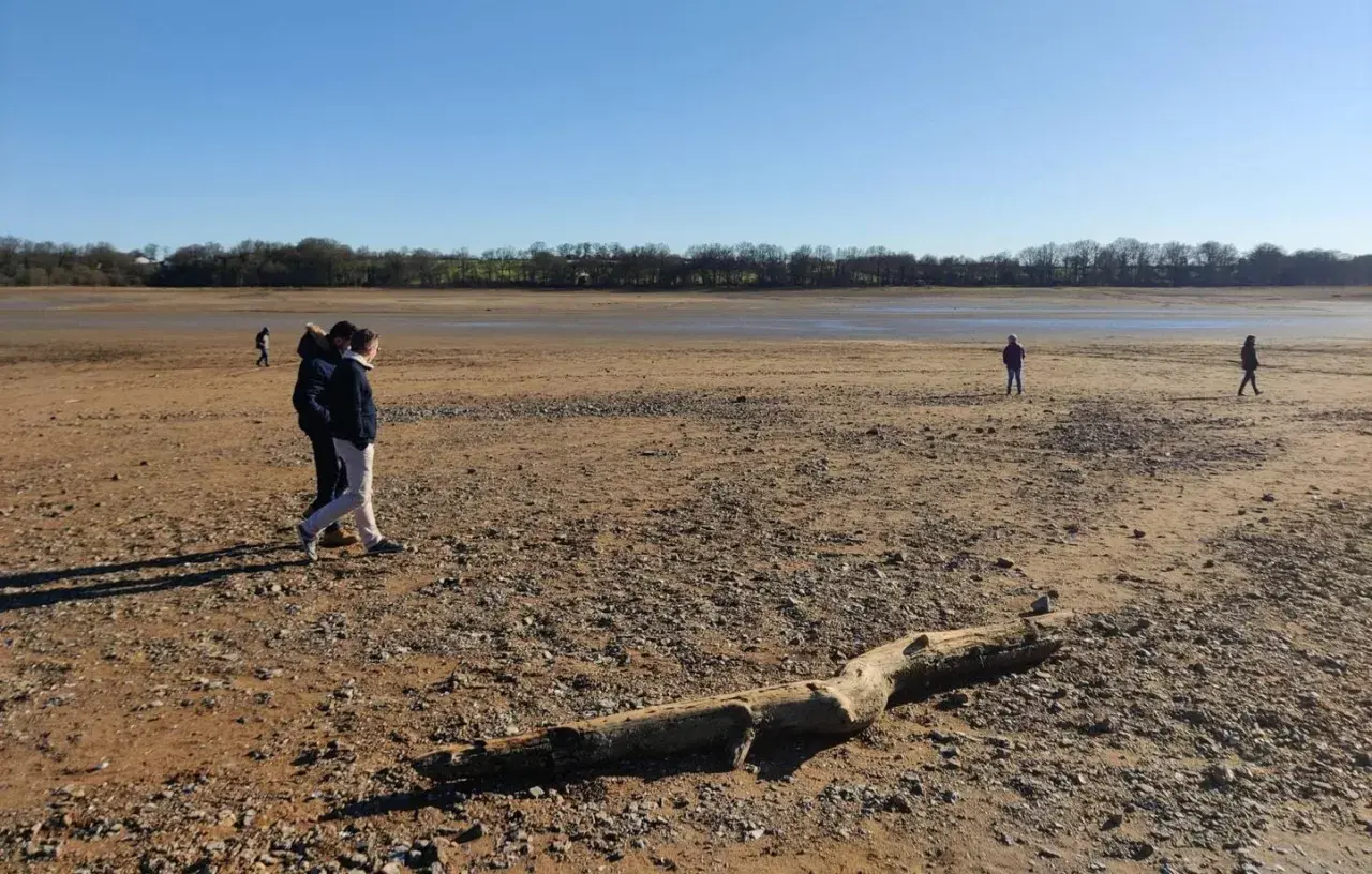 Des promeneurs explorent le lit asséché du lac de Vioreau, un paysage désertique sous un ciel bleu. Un tronc d'arbre repose sur le sable.