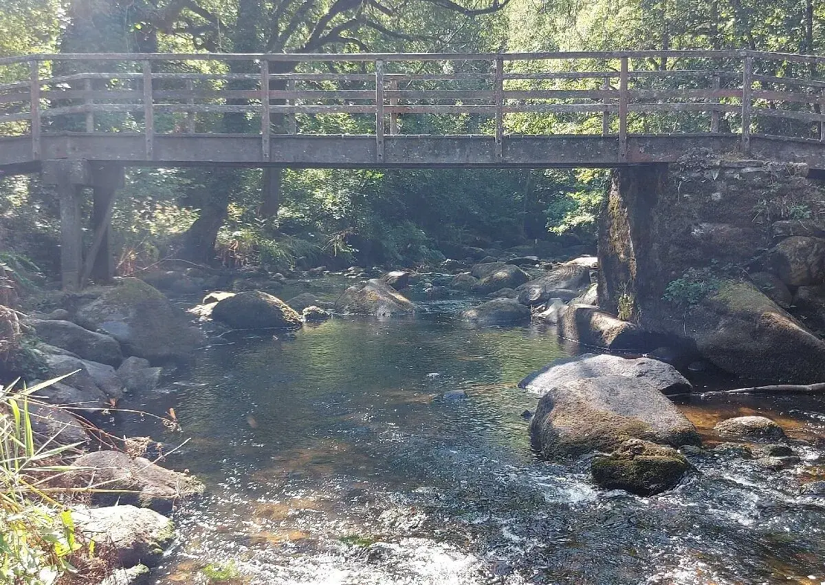 Pont en bois au-dessus d'une rivière rocheuse à Stangala Quimper, entouré de verdure luxuriante.
