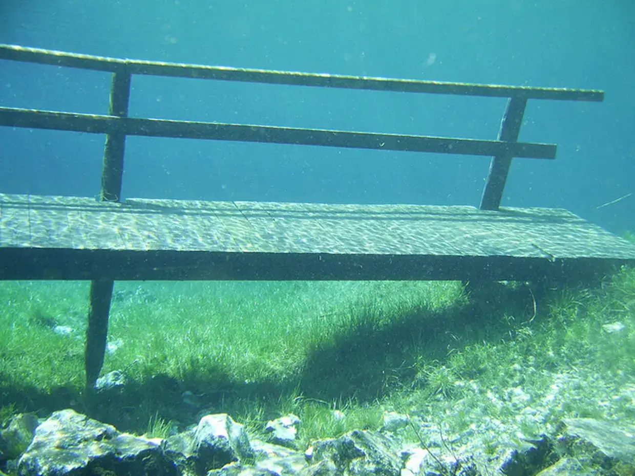 Ponton immergé dans un lac vert d'Autriche, la végétation aquatique luxuriante et les rayons du soleil créent une atmosphère féerique.