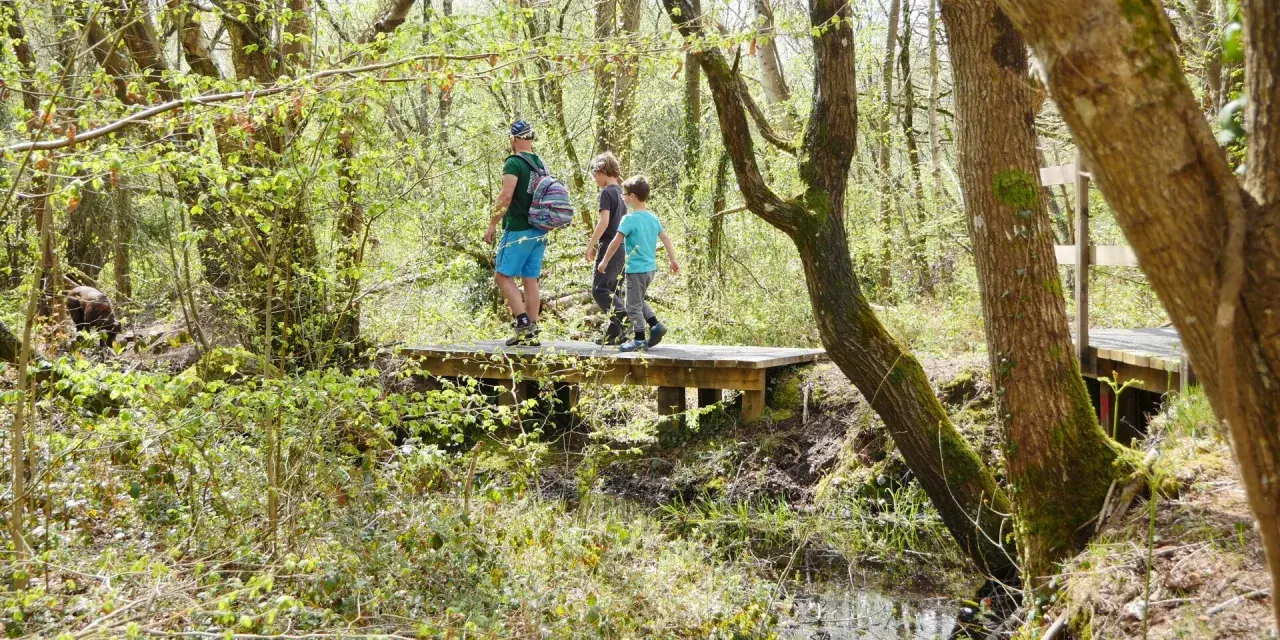 Trois personnes profitent d'une randonnée à Granville, traversant un pont en bois dans une forêt verdoyante.
