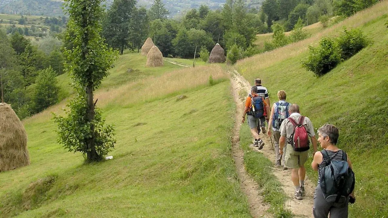 Un groupe de randonneurs profite d'une belle randonnée en Roumanie, traversant des collines verdoyantes parsemées de meules de foin.