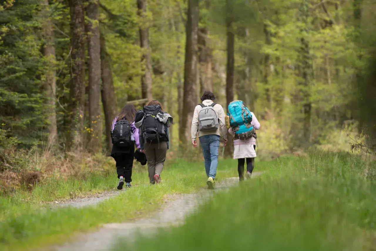 Trois randonneurs marchent sur un sentier forestier. Idéal pour randonner en novembre en France, la nature est verdoyante.