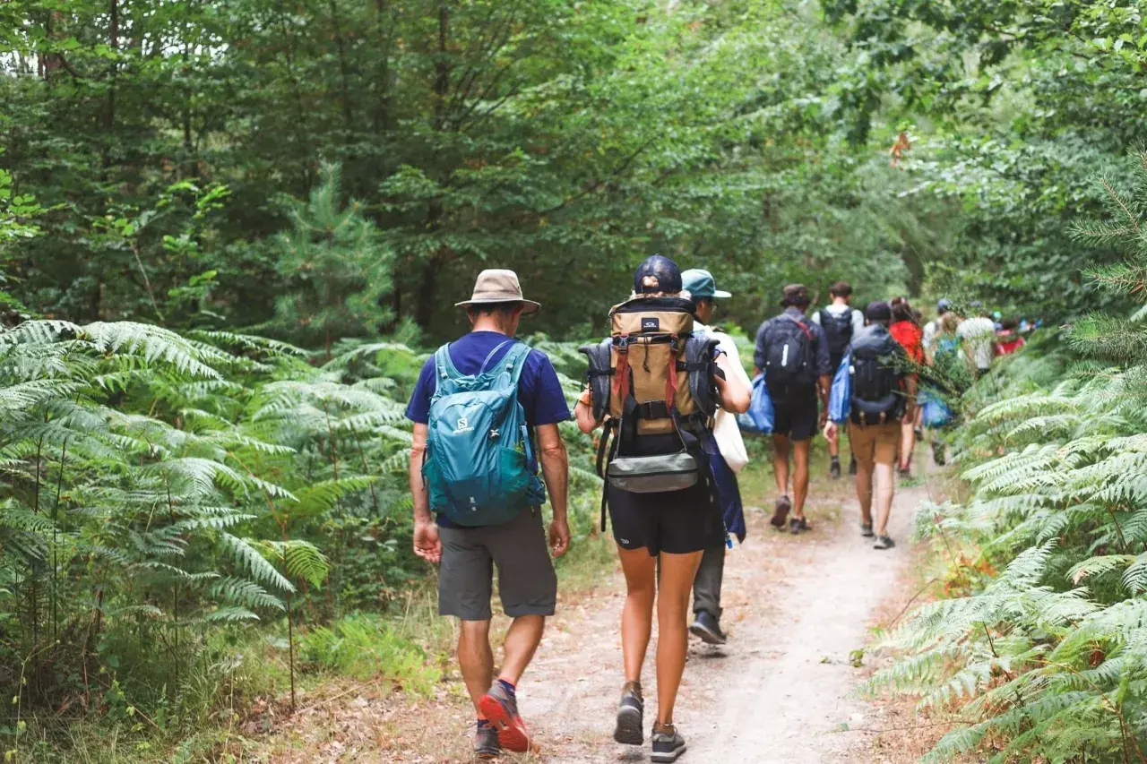 Un groupe de randonneurs explore un sentier forestier verdoyant dans les Yvelines, profitant d'une belle journée.