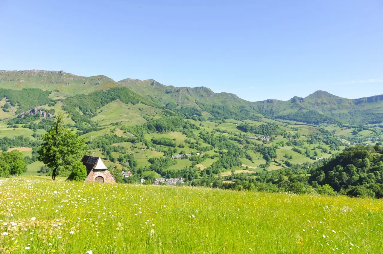 Champ fleuri au premier plan, avec une petite bâtisse en pierre et un arbre. Au loin, les collines verdoyantes et les montagnes de la vallée de la Jordanne sous un ciel bleu.