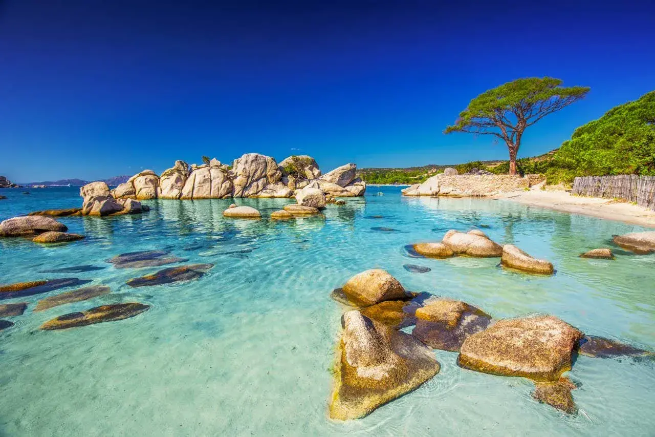 Eaux turquoise cristallines, rochers polis par le temps et un arbre solitaire sur une plage de sable fin. Un décor de rêve qui pourrait bien être la meilleur plage de France.