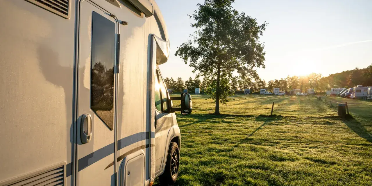 Un camping-car est garé dans une aire de camping-car, avec d'autres véhicules et un arbre au soleil levant.