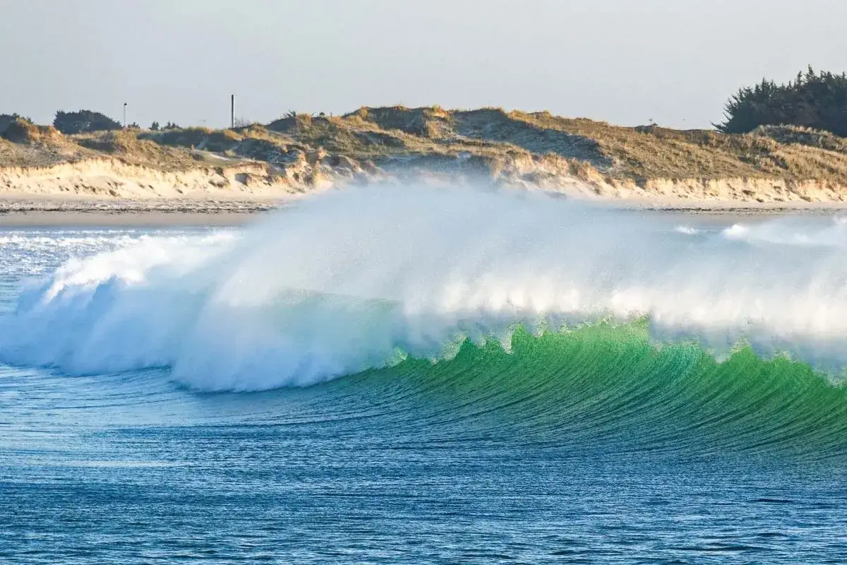 Vague verte et translucide, comme la pointe de la torche, se brisant sur la plage de sable et les dunes.