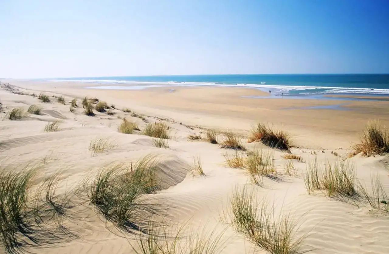 Vastes dunes de sable et herbes folles sur la plage de l'île d'Oléron, avec l'océan bleu en arrière-plan.