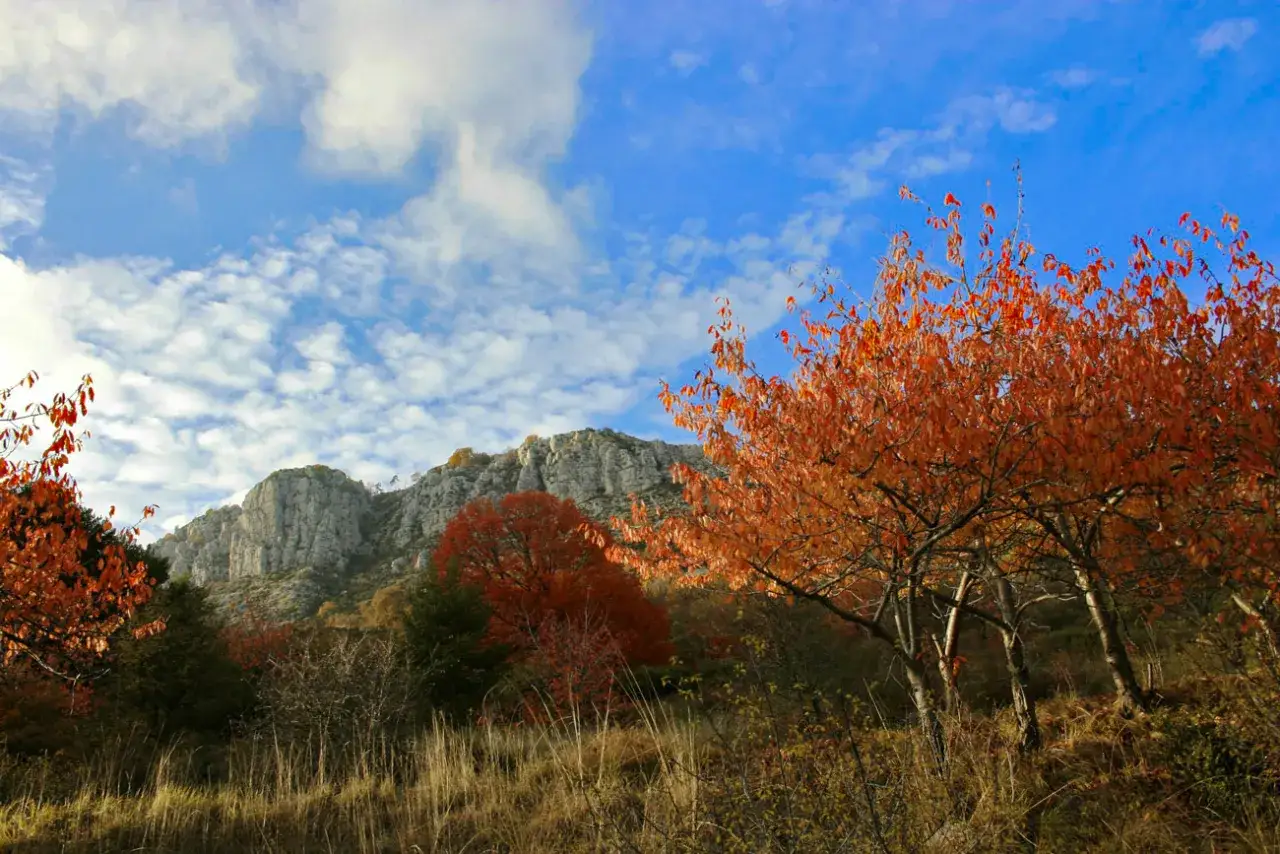 Magnifique paysage automnal pour ou randonner en novembre en France. Arbres aux feuilles orangées devant des falaises rocheuses sous un ciel bleu.